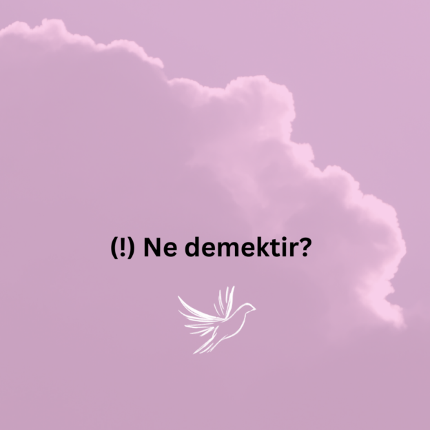 (!) Ne demektir? 1