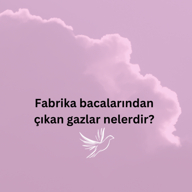 Fabrika bacalarından çıkan gazlar nelerdir? 1