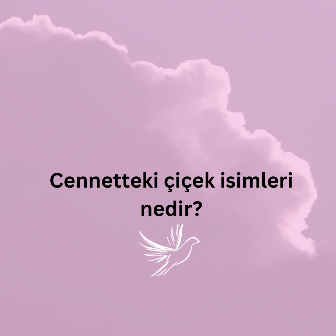 Cennetteki 6 bahçenin adı nedir?