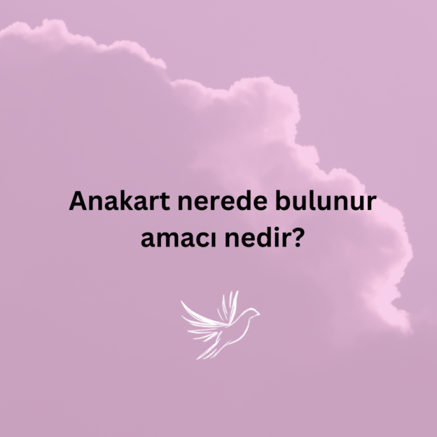 Anakart nerede bulunur amacı nedir? 1