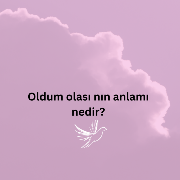 Oldum olası nın anlamı nedir? 1