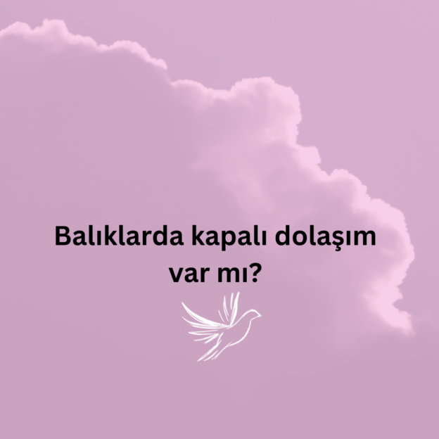 Balıklarda kapalı dolaşım var mı? 1