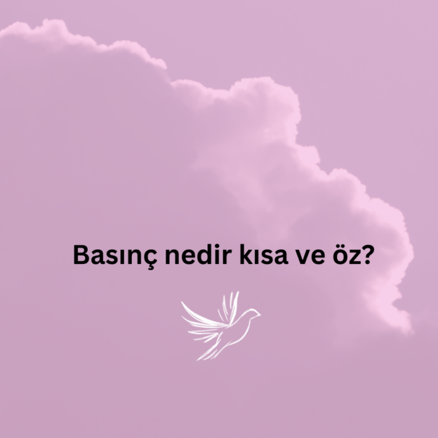 Basınç nedir kısa ve öz? 1