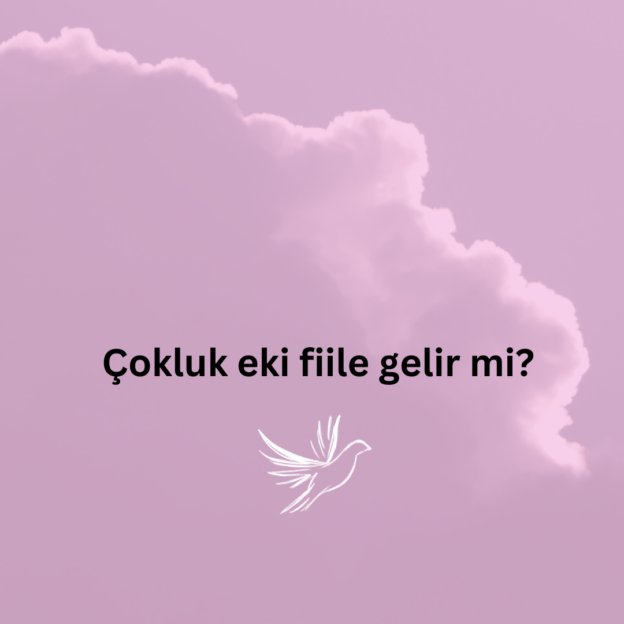 Çokluk eki fiile gelir mi? 1