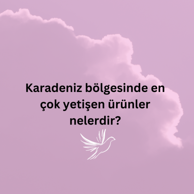 Karadeniz bölgesinde en çok yetişen ürünler nelerdir? 1