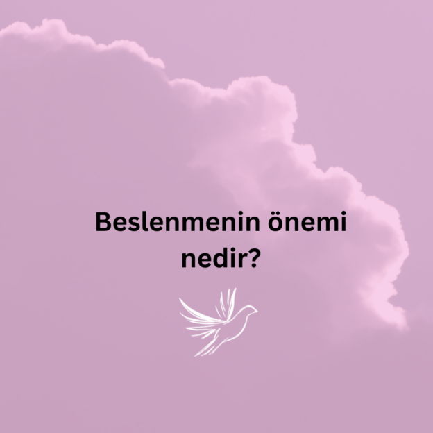 Beslenmenin önemi nedir? 1