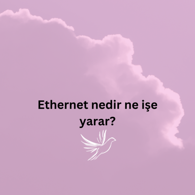 Ethernet nedir ne işe yarar? 1