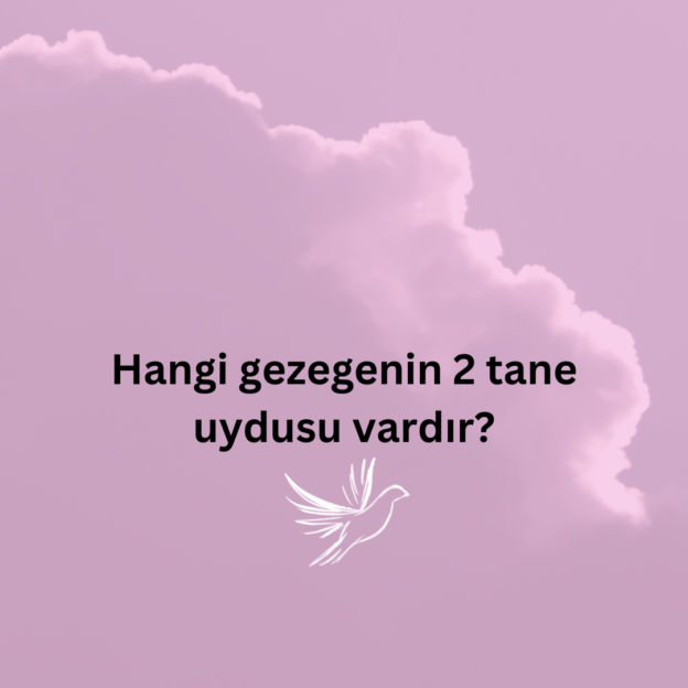 Hangi gezegenin 2 tane uydusu vardır? 1