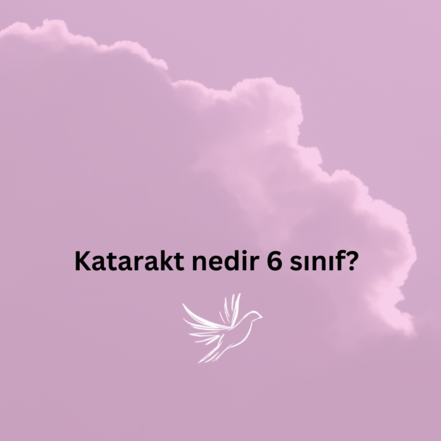 Katarakt nedir 6 sınıf? 1