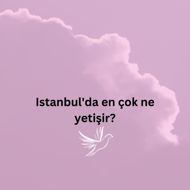 Istanbul'da en çok ne yetişir? 1