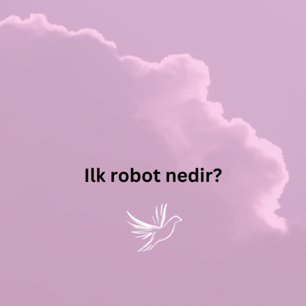 Ilk robot nedir? 1