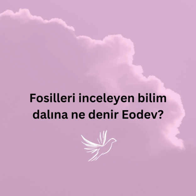 Fosilleri inceleyen bilim dalına ne denir Eodev? 1