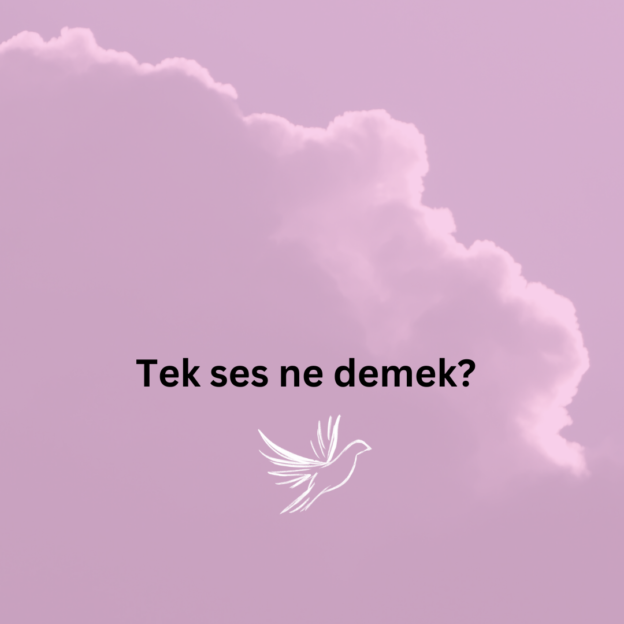 Tek ses ne demek? 1