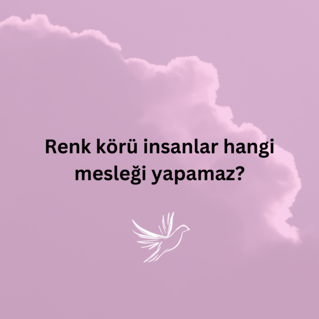 Renk körü insanlar hangi mesleği yapamaz? 1