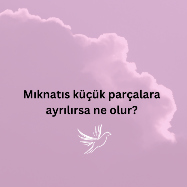 Mıknatıs küçük parçalara ayrılırsa ne olur? 1