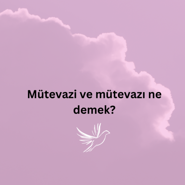 Mütevazi ve mütevazı ne demek? 1