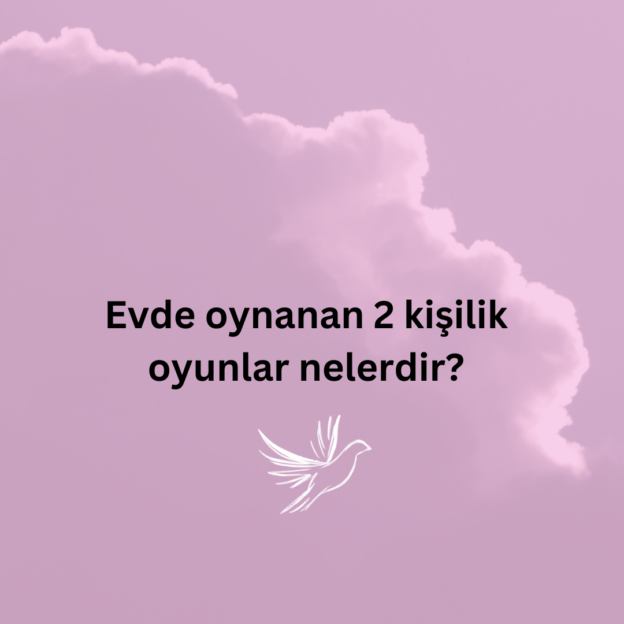 Evde oynanan 2 kişilik oyunlar nelerdir? 1