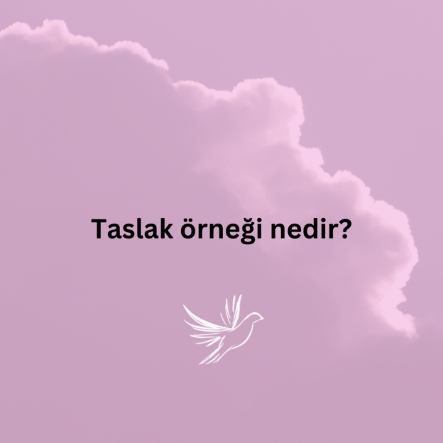 Taslak örneği nedir? 1