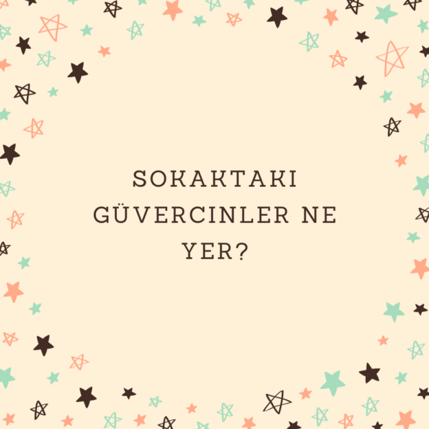 Sokaktaki güvercinler ne yer? 1