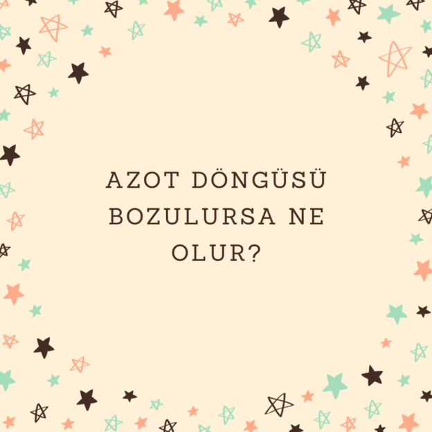 Azot döngüsü bozulursa ne olur? 1