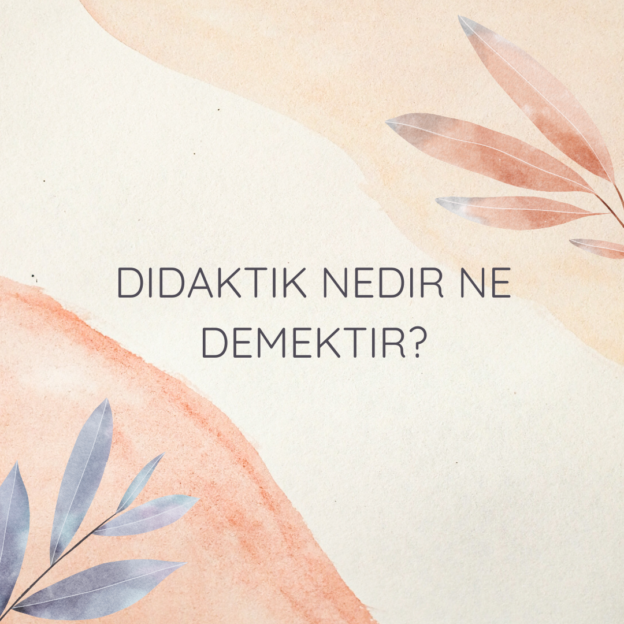 Didaktik nedir ne demektir? 1