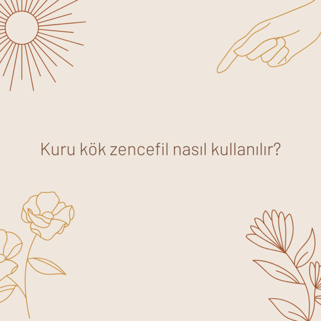 Kuru kök zencefil nasıl kullanılır? 1