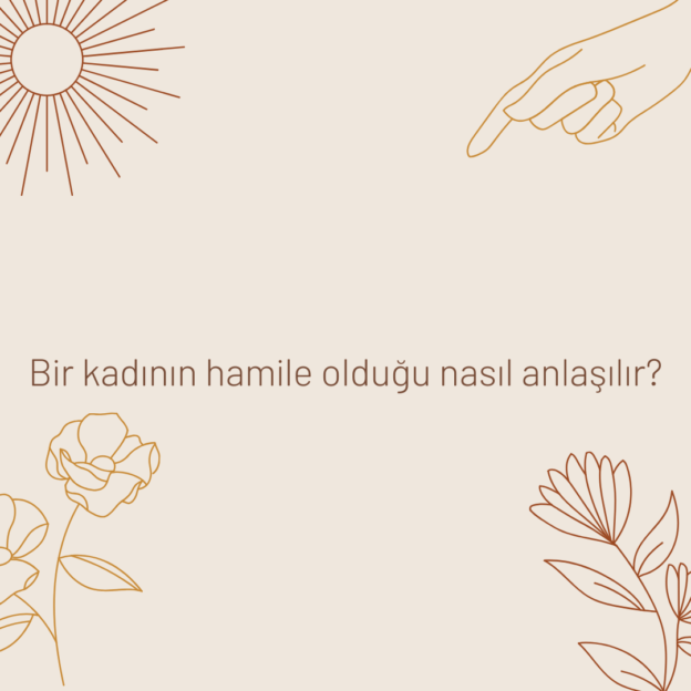 Bir kadının hamile olduğu nasıl anlaşılır? 1