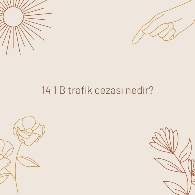 14 1 B trafik cezası nedir? 1