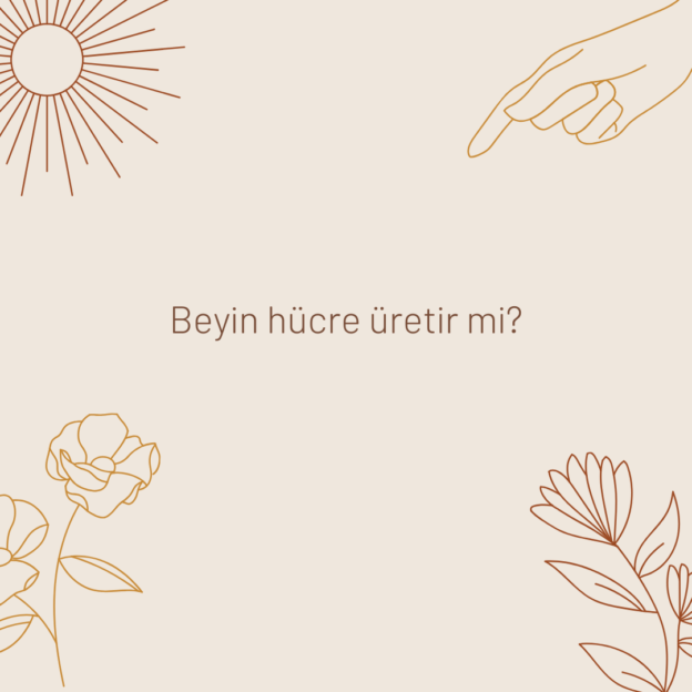 Beyin hücre üretir mi? 1