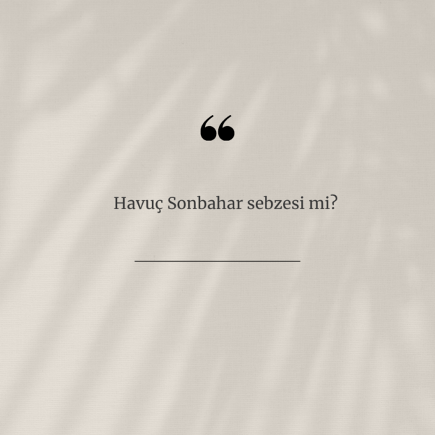 Havuç Sonbahar sebzesi mi? 1