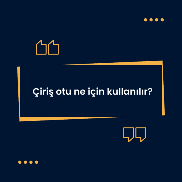 Çiriş otu ne için kullanılır? 1