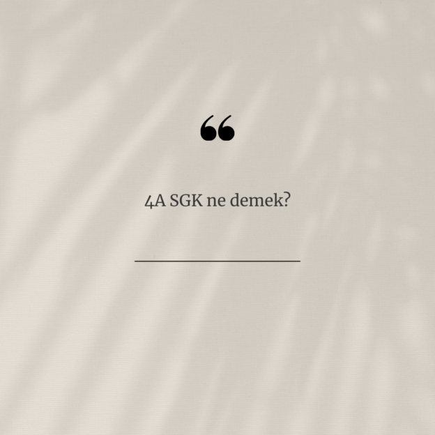 4A SGK ne demek? 1