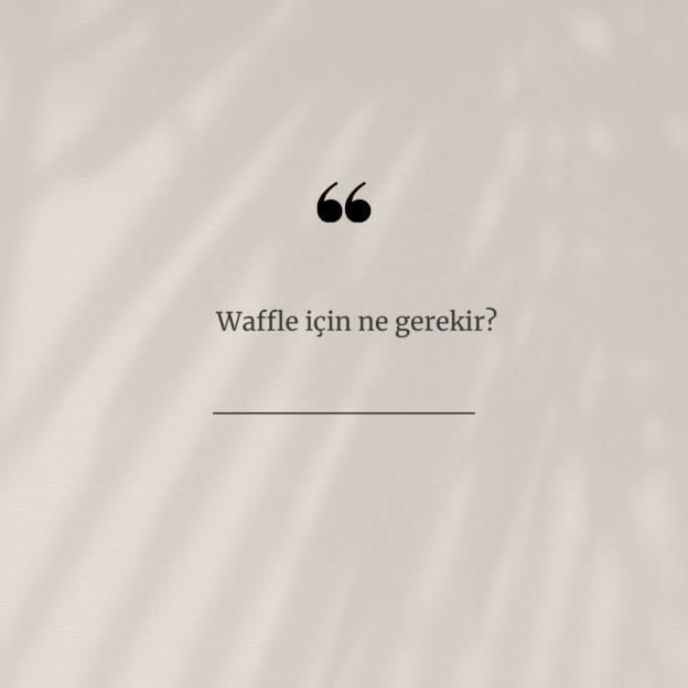 Waffle için ne gerekir? 1