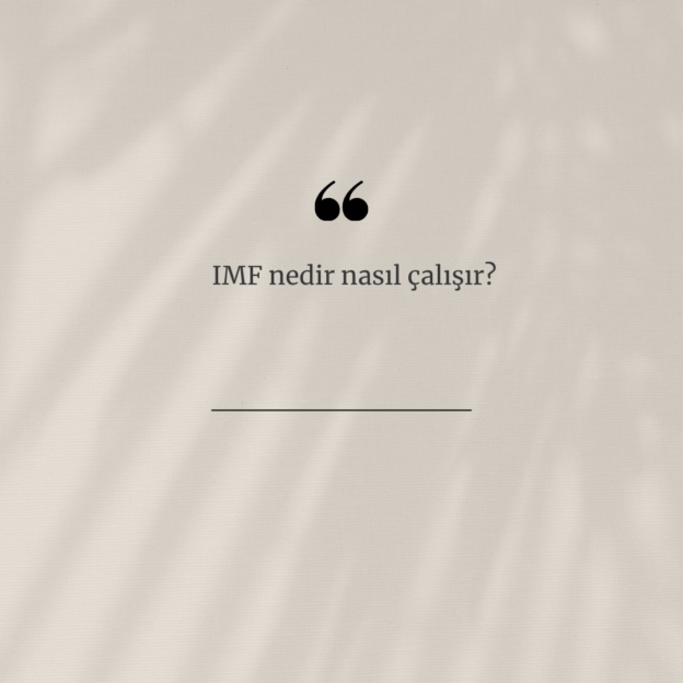 IMF nedir nasıl çalışır? 1