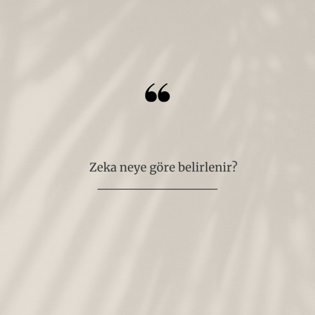 Zeka neye göre belirlenir? 1