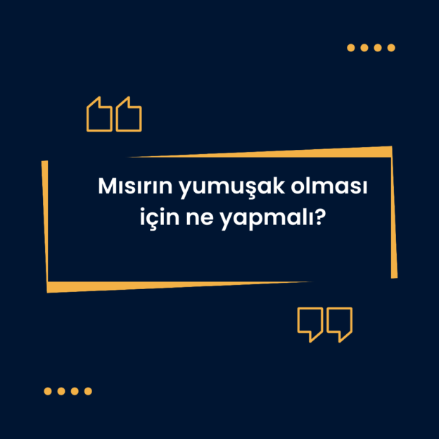 Mısırın yumuşak olması için ne yapmalı? 1