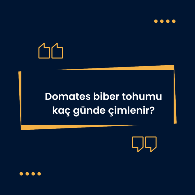 Domates biber tohumu kaç günde çimlenir? 1