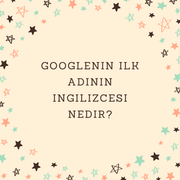 Googlenin ilk adının ingilizcesi nedir? 1