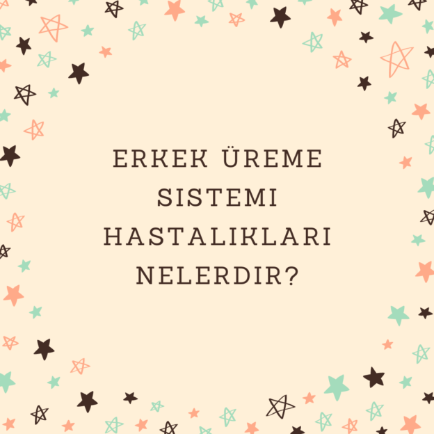 Erkek üreme sistemi hastalıkları nelerdir? 1