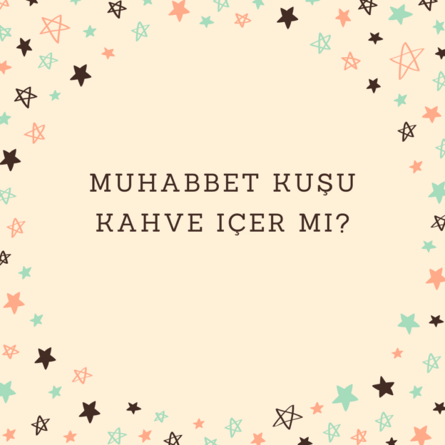 Muhabbet kuşu kahve içer mi? 1