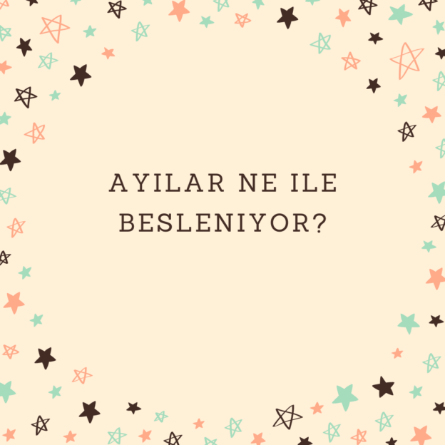 Ayılar ne ile besleniyor? 1