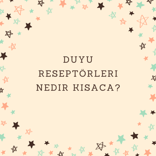 Duyu reseptörleri nedir kısaca? 1