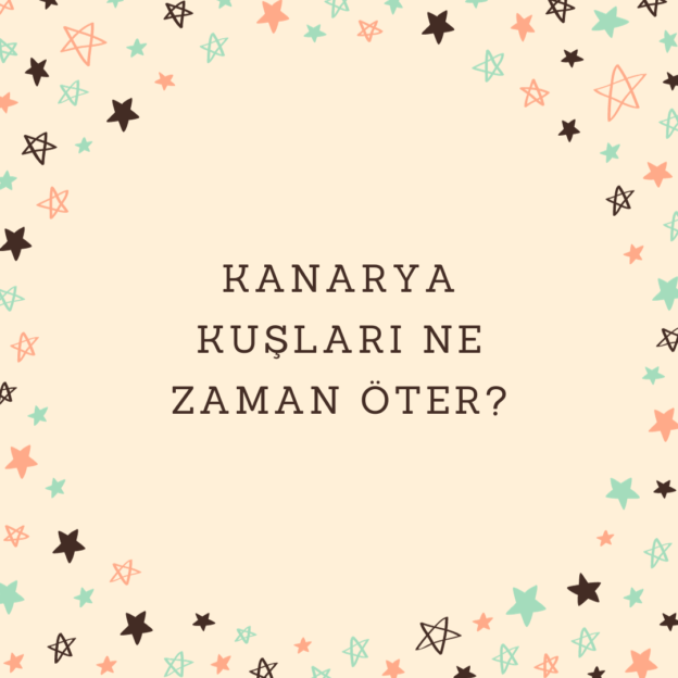 Kanarya kuşları ne zaman öter? 1