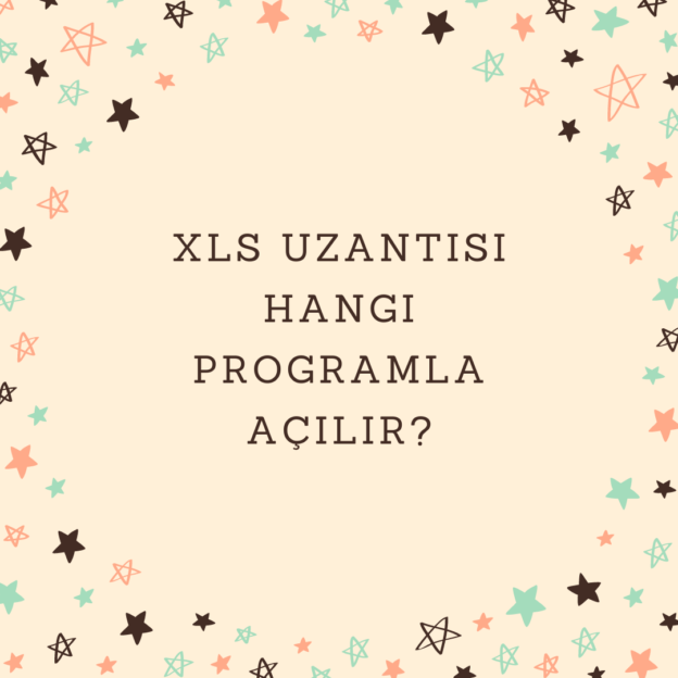 Xls uzantısı hangi programla açılır? 1