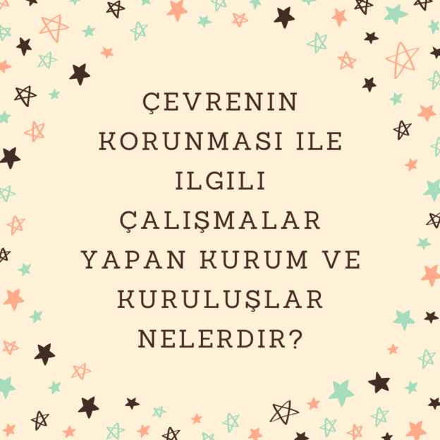 Çevrenin korunması ile ilgili çalışmalar yapan kurum ve kuruluşlar nelerdir? 1