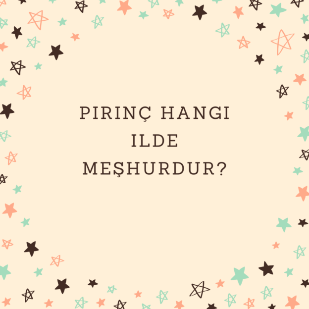 Pirinç hangi ilde meşhurdur? 1