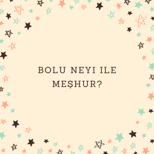 Bolu neyi ile meşhur? 1