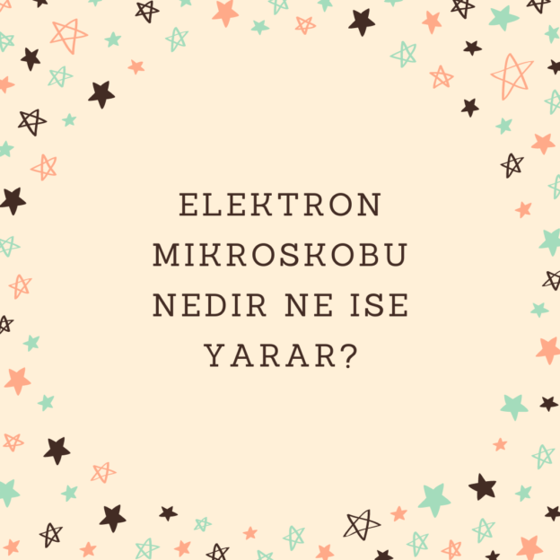 Elektron mikroskobu nedir ne ise yarar? 1