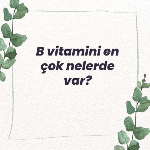 B vitamini en çok nelerde var? 1