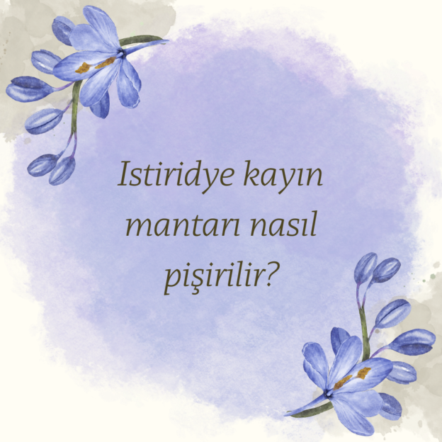 Istiridye kayın mantarı nasıl pişirilir? 1